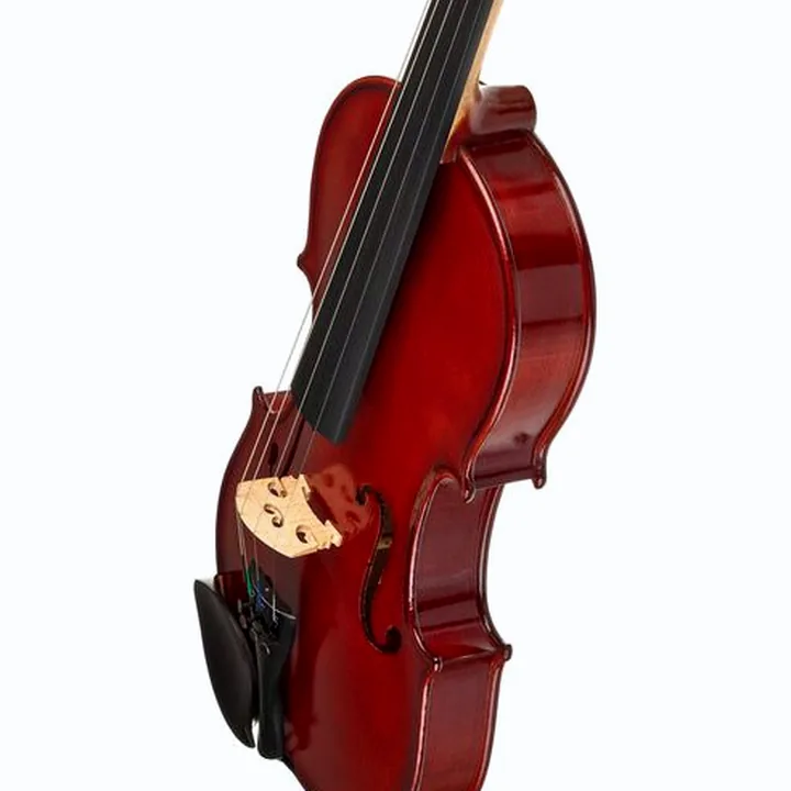 Violon Hamaril Violin Set 1A 4/4 : Test, Avis et Comparatif