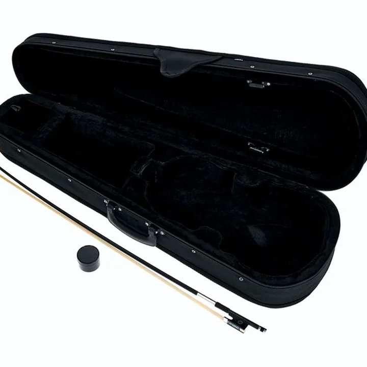 Test, Avis du violon Harley Benton HBV 800SBB Acoustic-Electric