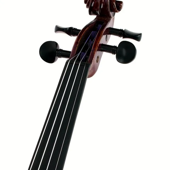 Le violon Hidersine Espressione Violin Set Strad. / Comparatif, Avis & Test