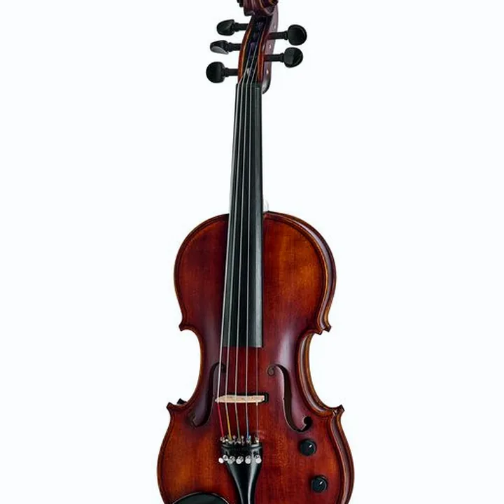 Le violon Roth & Junius Acoustic-Electric 5-Str Vn Set : Comparatif, Avis, Test