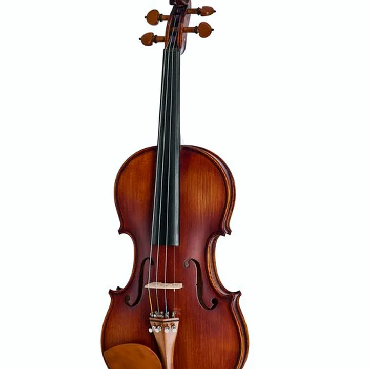 Le violon Roth & Junius Europe Orchestra Violin Set SB : Test, Avis et Comparatif