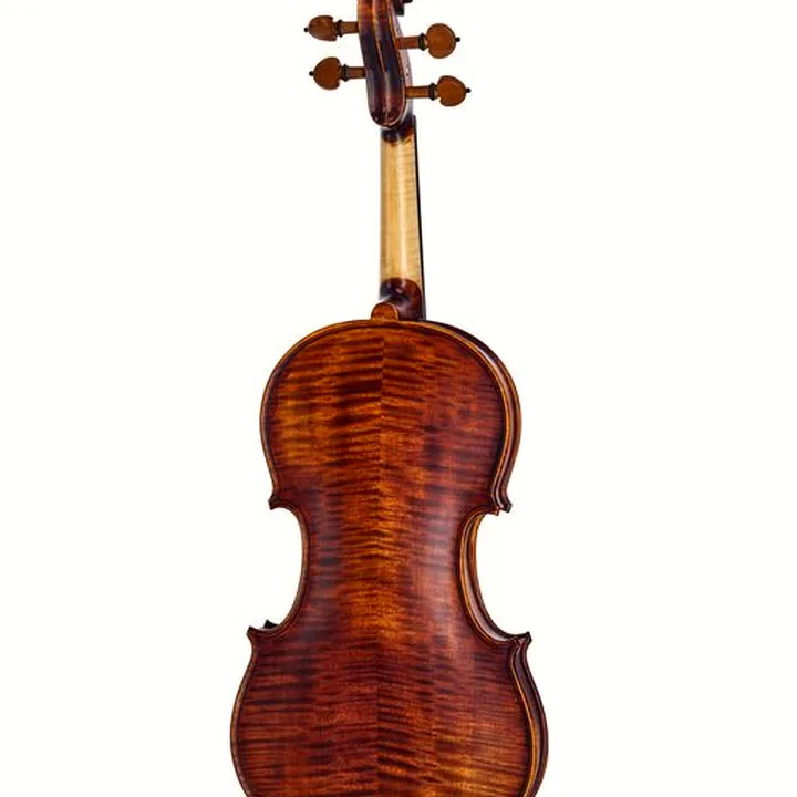 Le violon Roth & Junius Europe Orchestra Violin Set SB : Test, Avis et Comparatif
