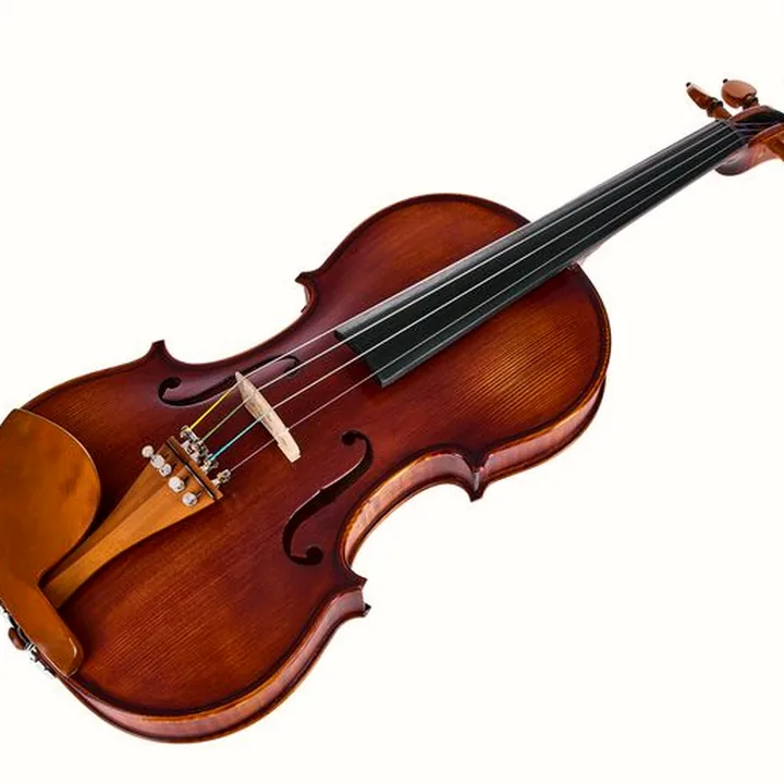 Le violon Roth & Junius Europe Orchestra Violin Set SB : Test, Avis et Comparatif