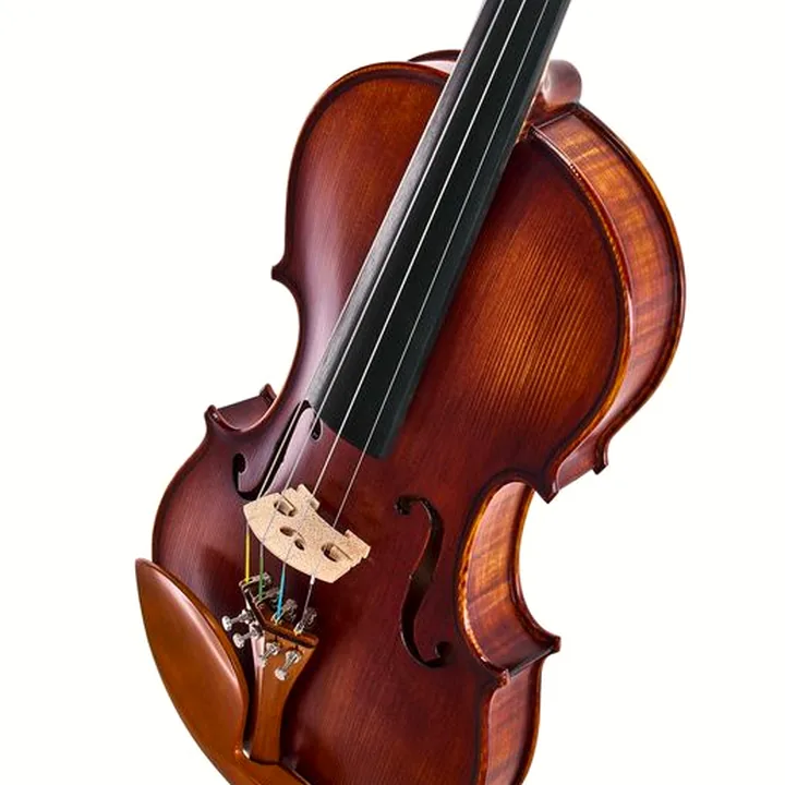 Le violon Roth & Junius Europe Orchestra Violin Set SB : Test, Avis et Comparatif