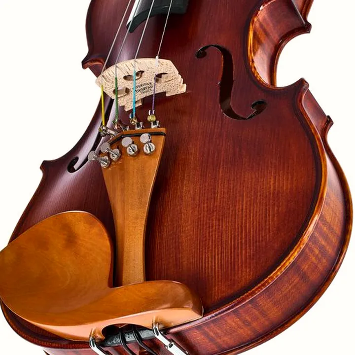Le violon Roth & Junius Europe Orchestra Violin Set SB : Test, Avis et Comparatif