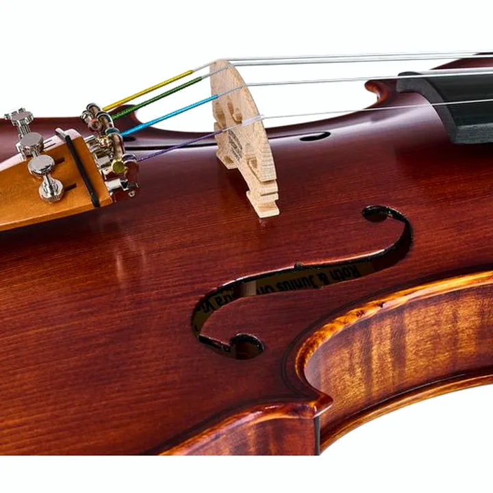 Le violon Roth & Junius Europe Orchestra Violin Set SB : Test, Avis et Comparatif