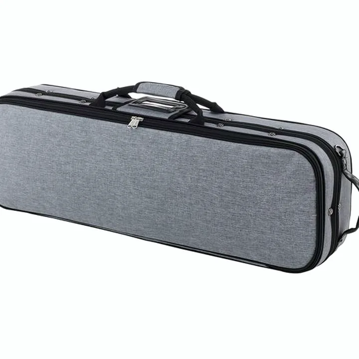 Le violon Roth & Junius Europe Orchestra Violin Set SB : Test, Avis et Comparatif