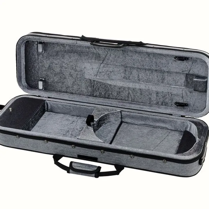 Le violon Roth & Junius Europe Orchestra Violin Set SB : Test, Avis et Comparatif