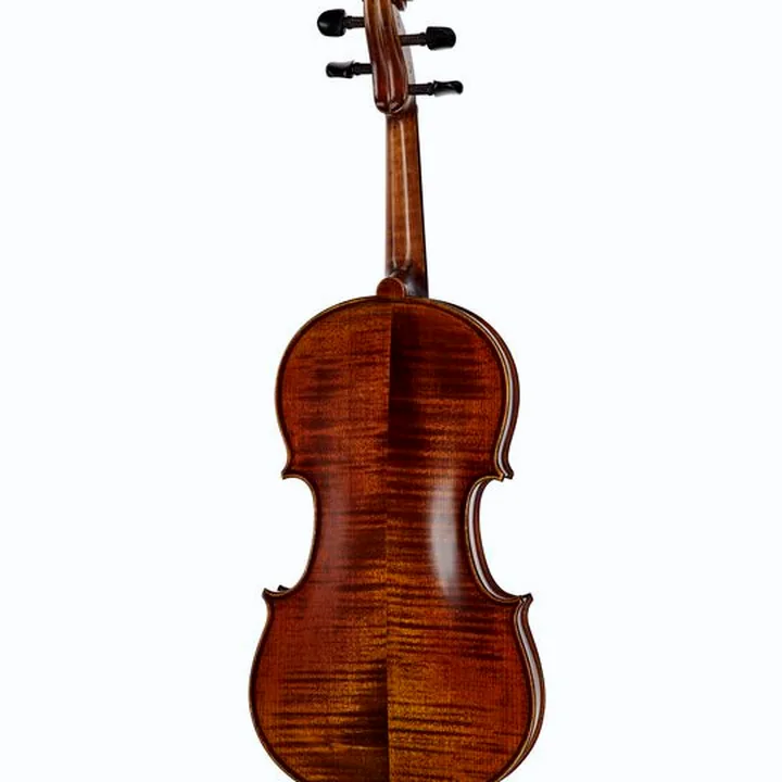 Le violon Scala Vilagio Bohemia Student Violin 4/4 : Test & Avis