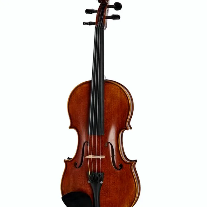 Le violon Scala Vilagio Bohemia Student Violin 4/4 : Test & Avis