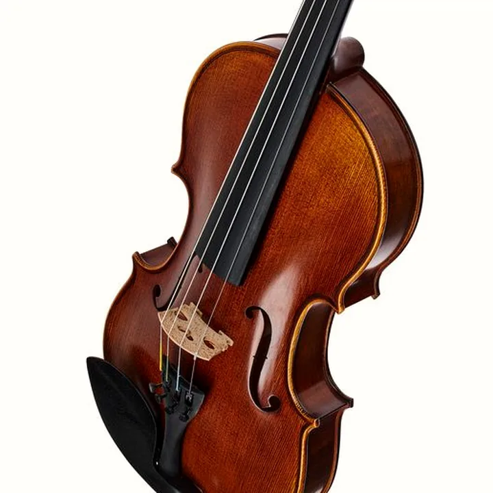 Le violon Scala Vilagio Bohemia Student Violin 4/4 : Test & Avis