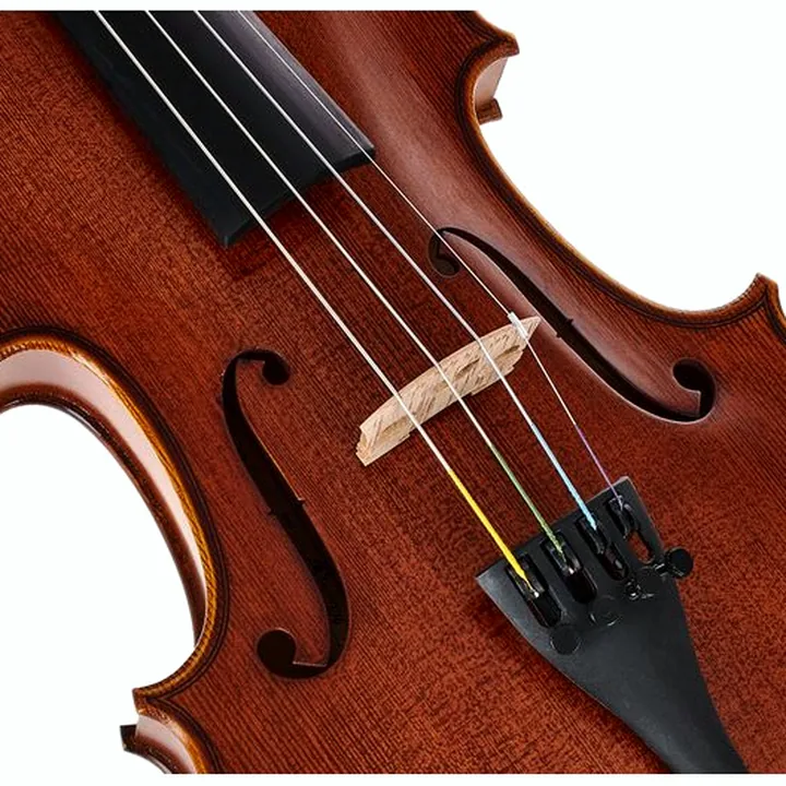 Le violon Scala Vilagio Bohemia Student Violin 4/4 : Test & Avis