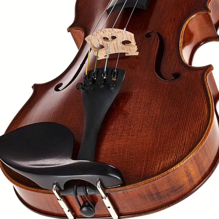 Le violon Scala Vilagio Bohemia Student Violin 4/4 : Test & Avis