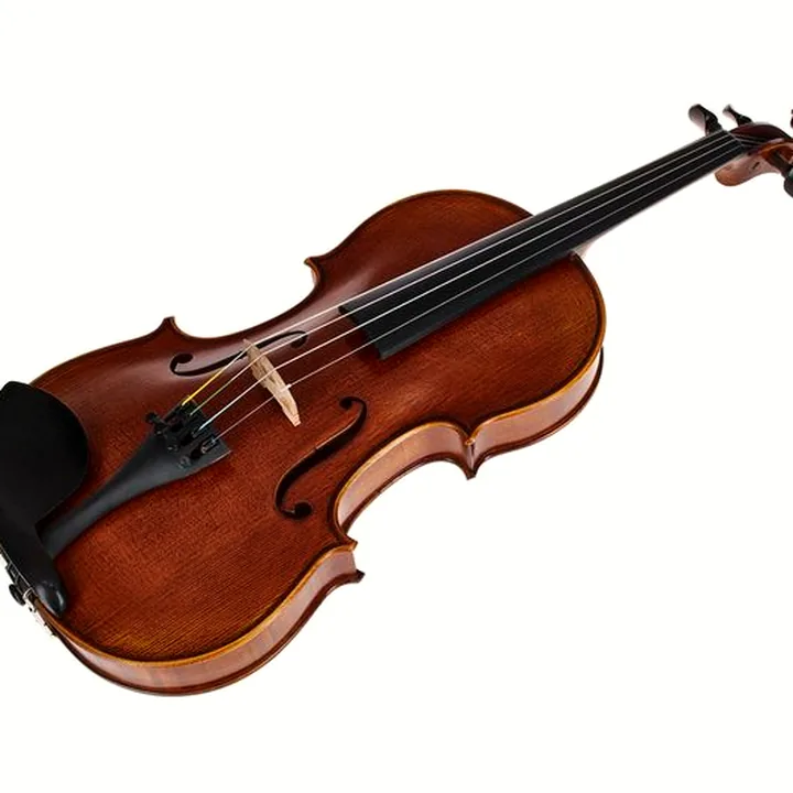 Le violon Scala Vilagio Bohemia Student Violin 4/4 : Test & Avis