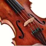 Avis, Test : Scala Vilagio F.H. Guarneri del G. Plowden
