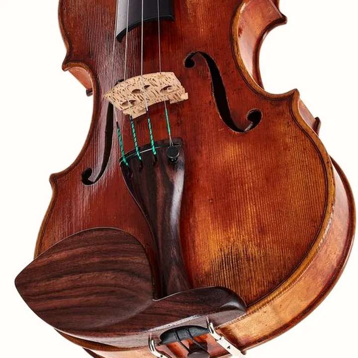 Avis, Test : Scala Vilagio F.H. Guarneri del G. Plowden