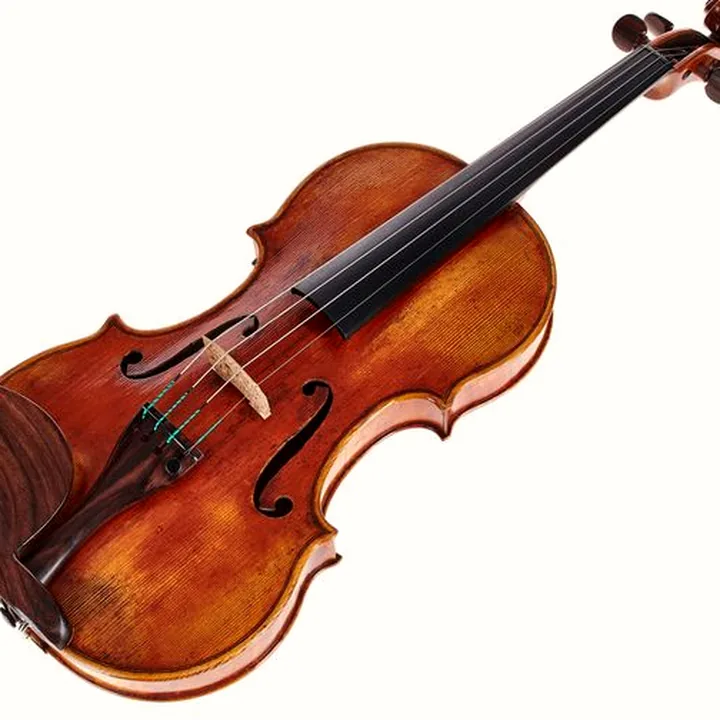 Avis, Test : Scala Vilagio F.H. Guarneri del G. Plowden