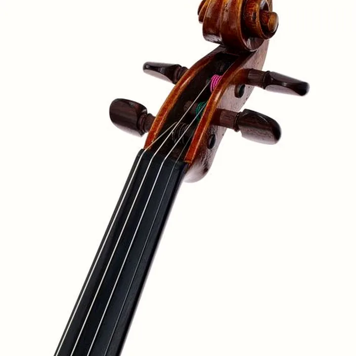 Avis, Test : Scala Vilagio F.H. Guarneri del G. Plowden