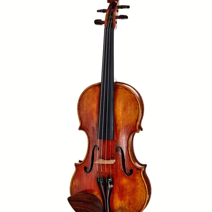 Avis, Test : Scala Vilagio F.H. Guarneri del G. Plowden