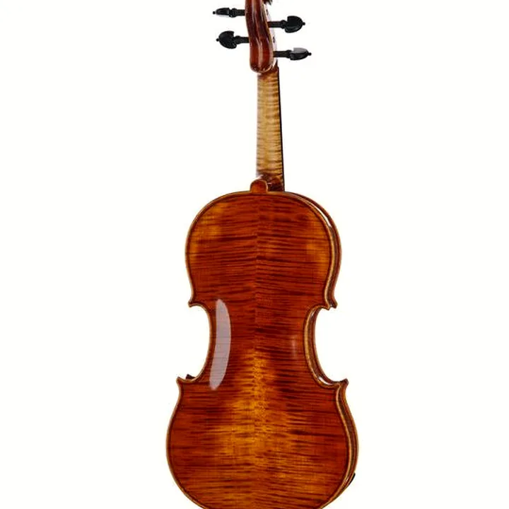 Violon Scala Vilagio R.O. Stradivari Lumiere Violin Test, Avis, Comparatif