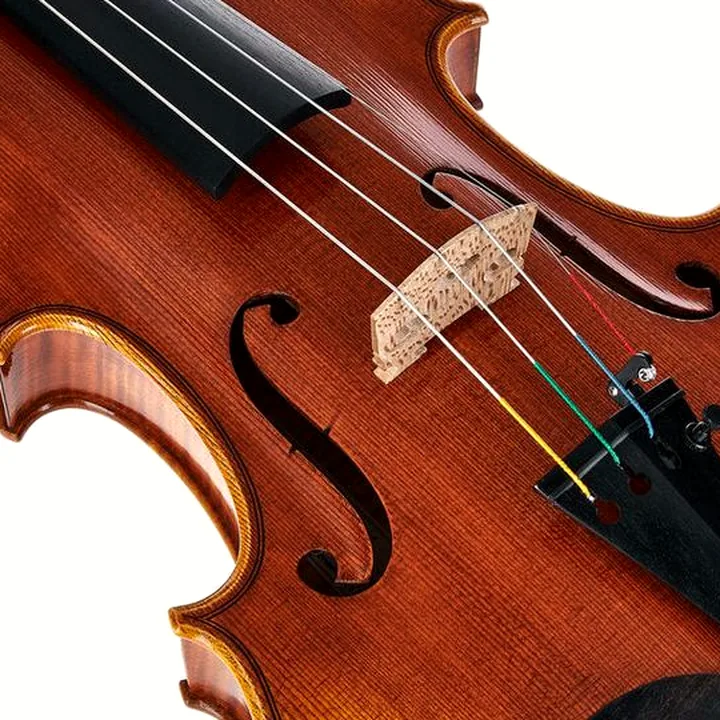 Violon Scala Vilagio R.O. Stradivari Lumiere Violin Test, Avis, Comparatif