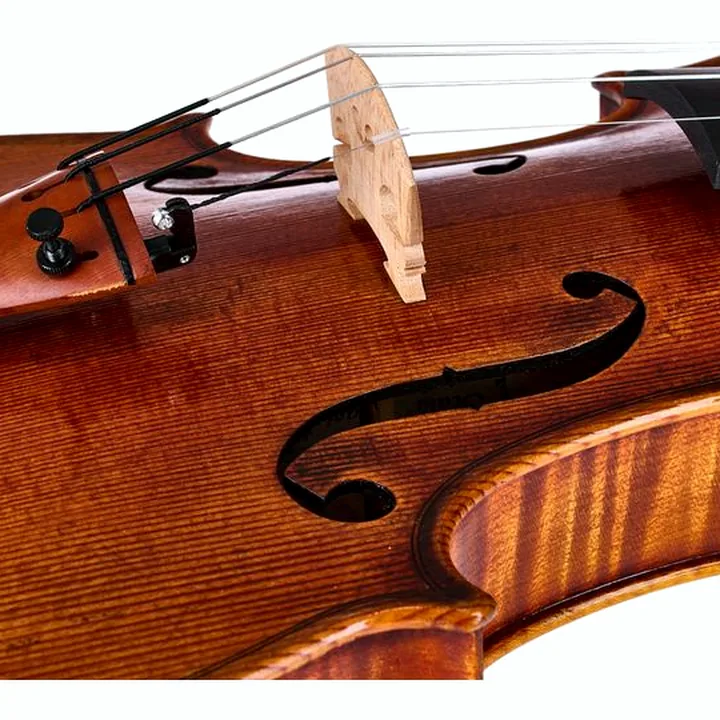 Le violon Scala Vilagio S.I. Orchestra Violin Bergonzi , Comparatif, Avis, Test
