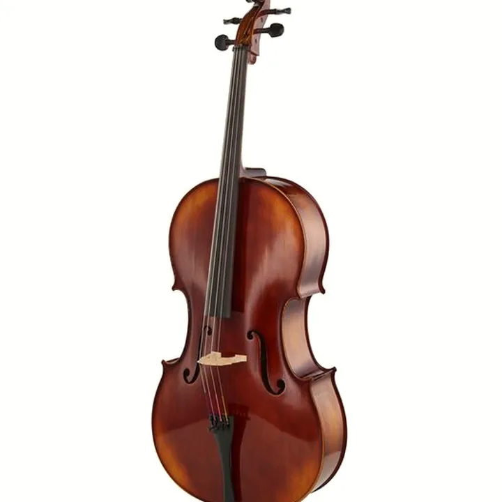 Le violoncelle Gewa Allegro VC1 Cello Set 4/4 CB Avis, Comparatif, Test