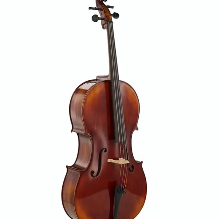 Le violoncelle Gewa Allegro VC1 Cello Set 4/4 CB Avis, Comparatif, Test