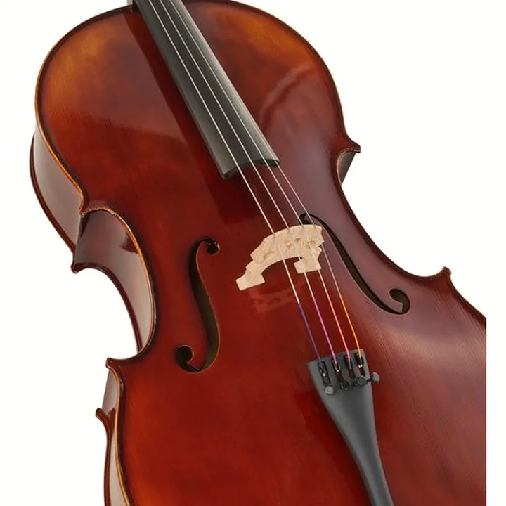 Le violoncelle Gewa Allegro VC1 Cello Set 4/4 CB Avis, Comparatif, Test