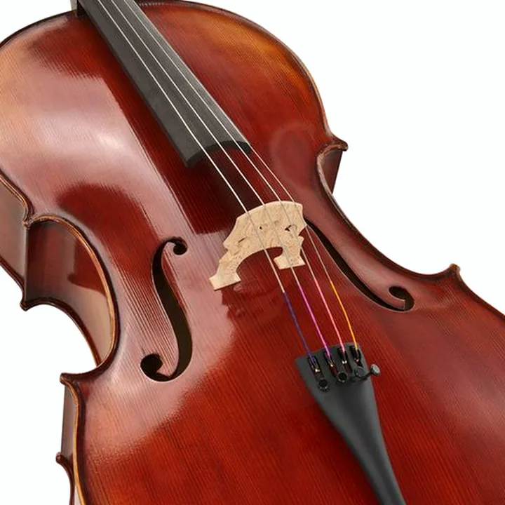 Le violoncelle Gewa Maestro 2 Cello Set 1/4 MB Comparatif, Test et Avis
