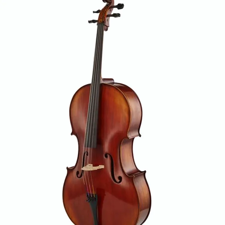 Le violoncelle Gewa Maestro 2 Cello Set 1/4 MB Comparatif, Test et Avis