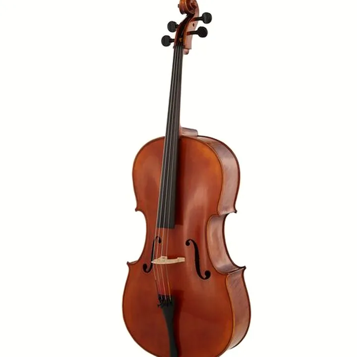 Le violoncelle Gewa Maestro 31 Cello 4/4 / Avis, Comparatif & Test