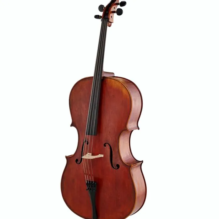 Le violoncelle Scala Vilagio Scuola Italiana Cello GO2 4/4 Avis & Test