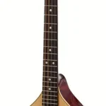 Mandole d’octave Thomann Octave Mandolin M1087 | Notre avis