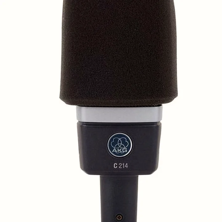 Micro AKG C214 Stereo Set Bundle Test, Comparatif & Avis