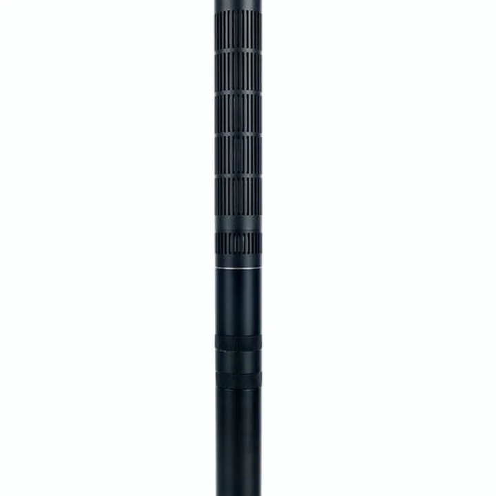 Micro DPA 4017B Avis, Test, Comparatif