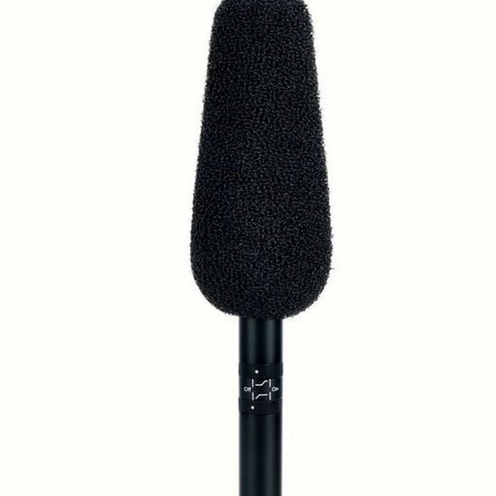 Micro DPA 4017B Avis, Test, Comparatif