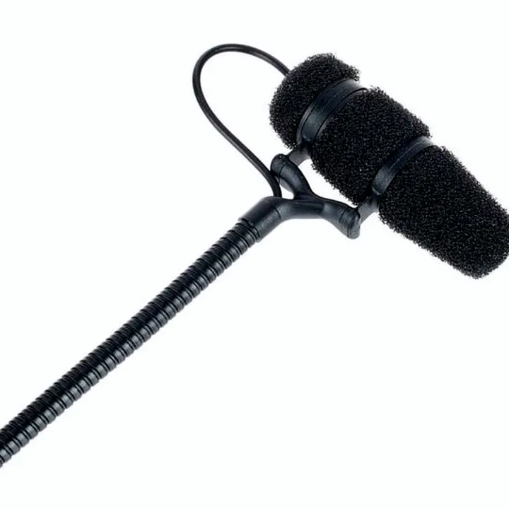 Avis et Test : DPA 4099 Core Bass