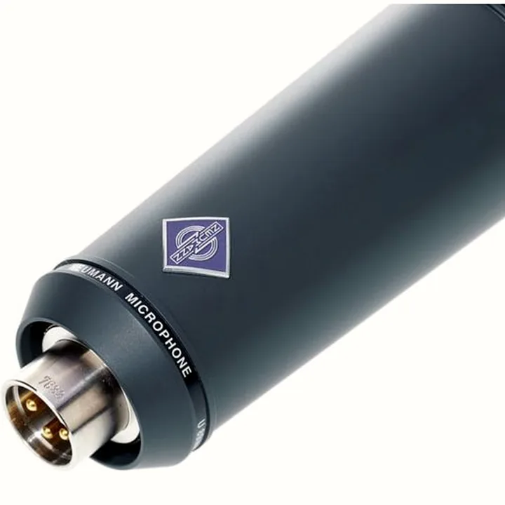 Micro Neumann U89 I mt : Avis et Test