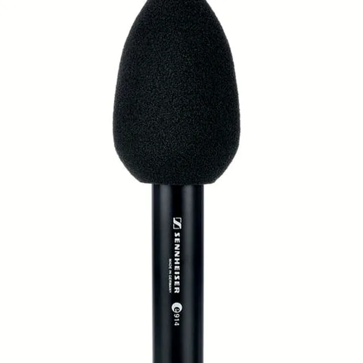 Micro Sennheiser E 914 / Avis et Test