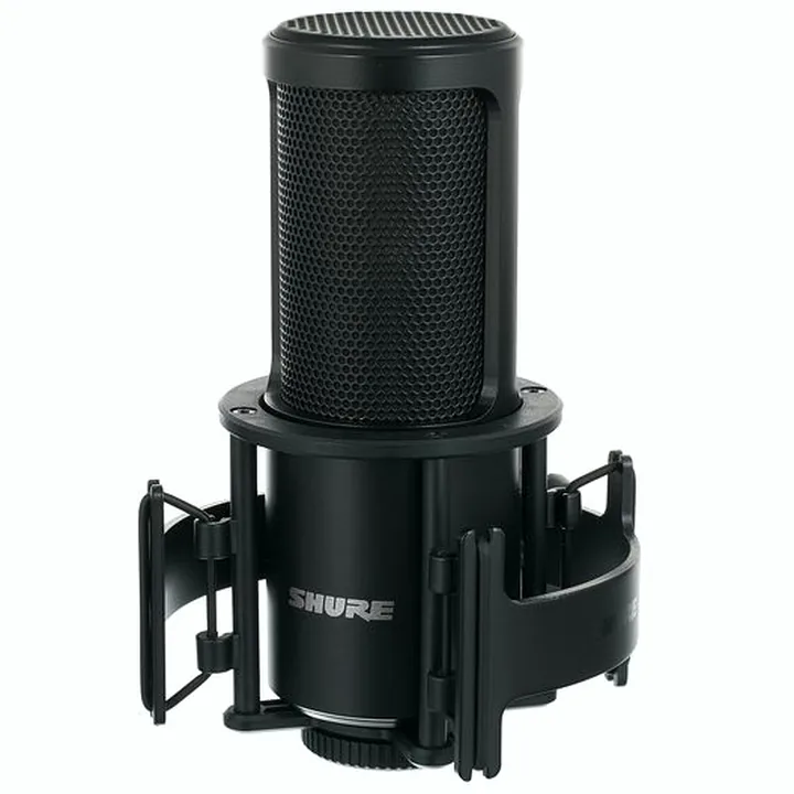 Micro Shure SM4 Kit Avis, Test