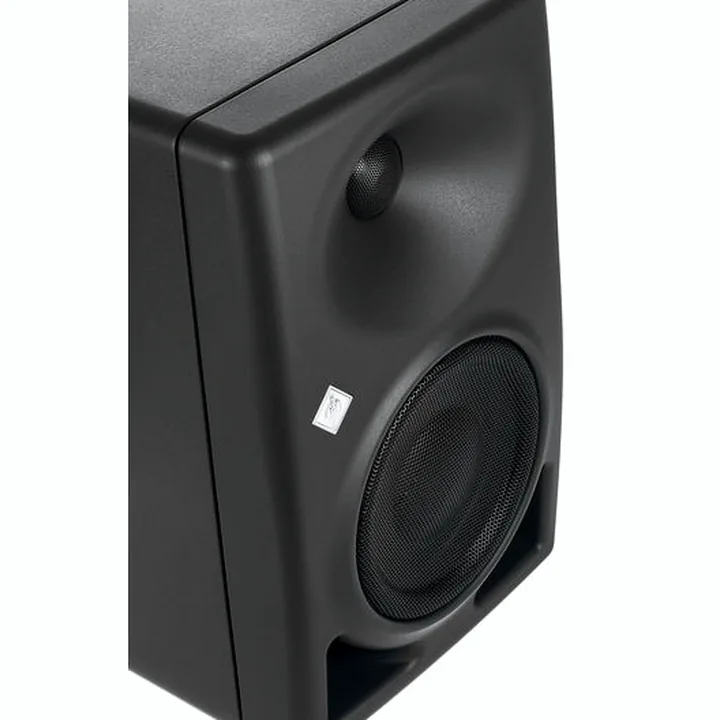 Mixage et Mastering : Avis sur la fiabilité des Neumann KH 120 II Black Edition Bundle
