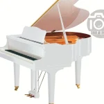 Piano Yamaha GB1 K SC3 PWH Grand Piano , Test, Avis et Comparatif