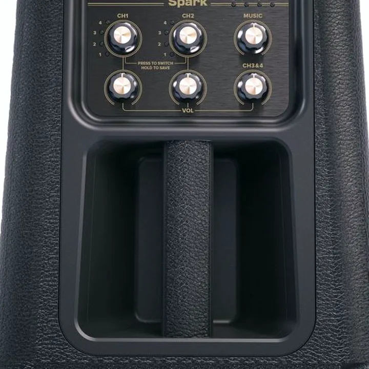 Positive Grid Spark Edge BK Avis, Test