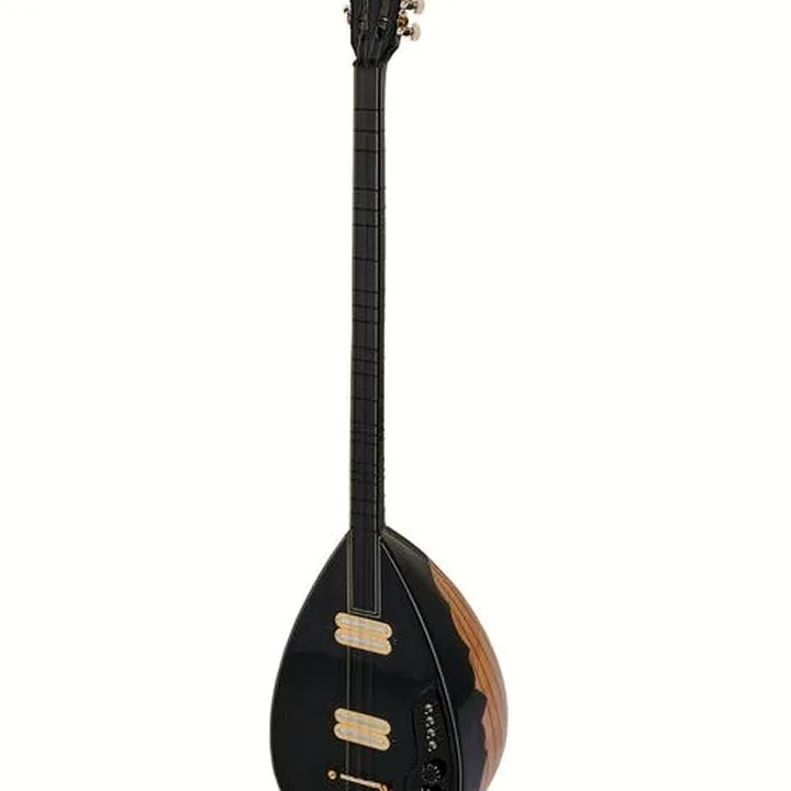 Saz 160C-FP Electro Acoustic Saz : Avis & Test