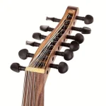 Saz TG2SY-B Arabic Oud Walnut BK/P – Test, Comparatif & Avis