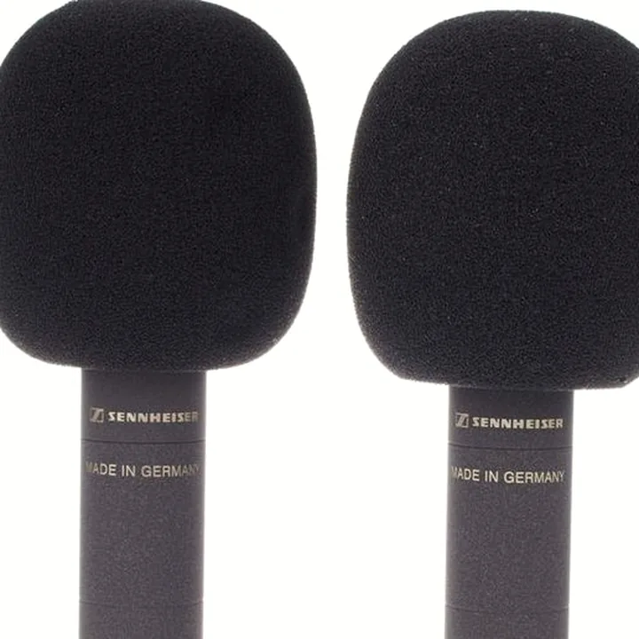 Sennheiser MKH 8040 Stereo Pair , Avis, Test et Comparatif
