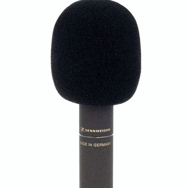 Sennheiser MKH 8040 – Test, Avis