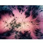 Shapingwaves Planets Avis et Test