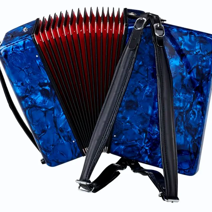 Startone Piano Accordion 48 Blue MKII – Test & Avis